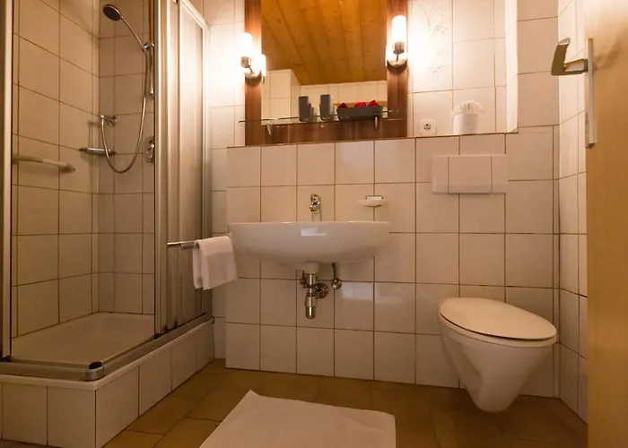 Alpinhome * 图克斯